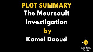 Plot Summary Of The Meursault Investigation By Kamel Daoud  The Meursault Investigation [upl. by Lyndes]