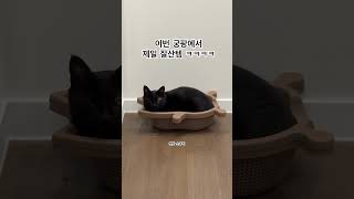 이번 궁팡에서 제일 잘산템 ㅋㅋㅋ [upl. by Anitsim]