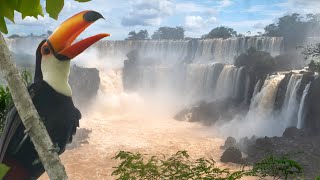 IGUAZU FALLS HIGHLIGHTS Argentina Side [upl. by Bopp985]