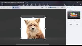 Paint 3D How to remove white background from a Picture to make it transparent [upl. by Fremont621]