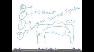 Medical Video Lecture Campylobacter jejuni Microbiology [upl. by Fuchs]