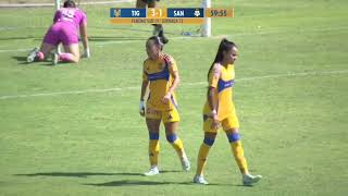 Tigres vs Santos  Femenil sub 19  Resumen 51  J13  Apertura 2024 [upl. by Seugram348]