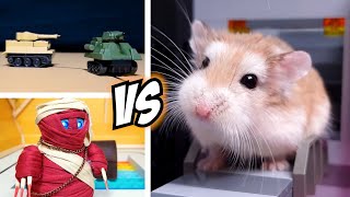 Brave HAMSTER vs ROBOT MONSTERS  Real life pet hamster action [upl. by Neelyk]