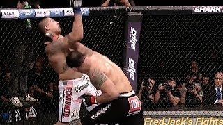 Antônio Rodrigo Nogueira vs Brendan Schaub Highlights Nogueira KNOCKS OUT Schaub ufc mma punch [upl. by Cly]