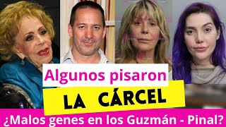 ACABARON MAL todas las HISTORIAS VIOLENTAS de los GuzmánPinal ¿MALOS GENES [upl. by Cerracchio]