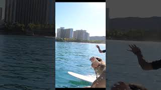 WAIKIKI SURF  Surfing is Group Activity in Hawaii waikikibeach [upl. by Trebeh822]