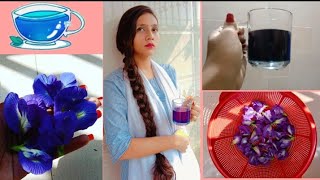 Aparajita Clitoria ternatea flowers tea  recipevlog ❤️ [upl. by Haisoj327]