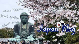 Japan Vlog♡ 鎌倉、桜の時期の大仏さま＆おにぎりランチで鎌倉満喫😍 [upl. by Valsimot333]