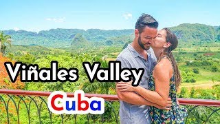 Viñales Cuba 4K [upl. by Ailecara]