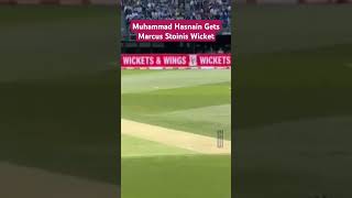 Muhammad Hasnain Gets Marcus Stoinis Wicket pakvsaus ausvspak pakistan australia ODI kohli bgt [upl. by Adon730]