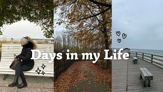 VLOG 🤎 URLAUBSPANNE Rügen Urlaub  Days in my Life [upl. by Nesyt]