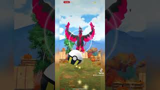 2 Galarian Bird encounters within 60 seconds 🤯 pokemongo galarianbird galarianzapdos galarian [upl. by Maltzman]