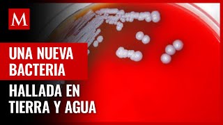 Encuentran bacterias de una rara enfermedad en muestras de tierra y agua en Misisipi EU [upl. by Otipaga]