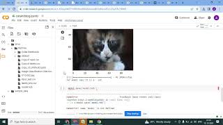 Cat amp Dog Classification using Convolutional Neural Network in Python Contact us  7356587328 [upl. by Wampler]