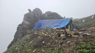 Organic Nepali Mountain Village Life In Nepal  Shepherds Life Of Nepal  Rural Life Of Nepal🇳🇵 [upl. by Arahd]