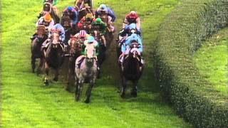 1995 Breeders Cup Mile [upl. by Maddox652]