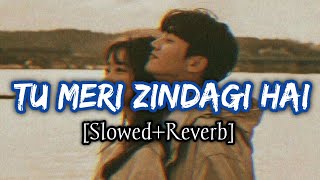 Tu Meri Zindagi Hai SlowedReverb  Kumar Sanu And Anuradha Paudwal  Aashiqui [upl. by Sandro]