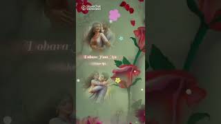 ❤️ the cute song in Hindi song 👌🌹 [upl. by Adnilim920]