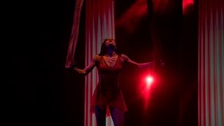 Aerial Tango Variety Show 2016 [upl. by Demmy]