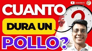 🤯 ¿Cuánto TIEMPO DURA ENGORDANDO un Pollo ✍🏼 [upl. by Doone260]