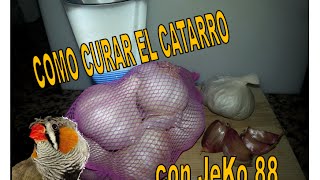 COMO CURAR CATARRO [upl. by Adrahs]