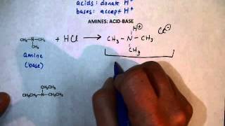 Amine Reactions AcidBase [upl. by Neelasor756]