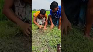 🤌🤌 experiment motivation crazyxyz farming amazingfacts facts smartlifehacks smarthome funny [upl. by Frear]