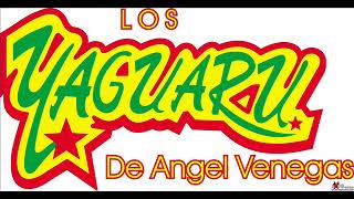 LOS YAGUARU MIX [upl. by Ammon701]