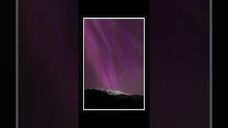 Incredible Northern Lights in Alaska 10724 shorts [upl. by Anahsal]