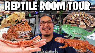 Reptile Room Tour Pet Room [upl. by Wolsky]