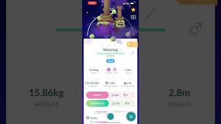 Shiny Shadow Galarian Weezing Pokemon Go [upl. by Yllim]