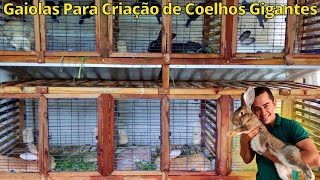 Gaiolas Perfeitas Para Criação de Coelhos Gigantes [upl. by Amory]