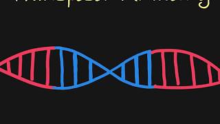 Introduction to Transposons [upl. by Soni]