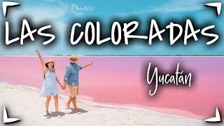 Las Coloradas YUCATAN y Rio Lagartos 🔴 GUIA COMPLETA ► Que hacer precios hospedaje 🟡 Vale la PENA [upl. by Lokcin]