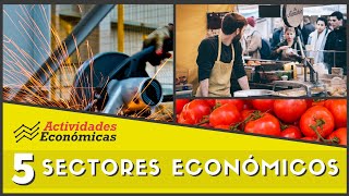 Los 5 sectores económicos Economía Ejemplos y características [upl. by Elvyn125]