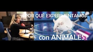 ¿Por qué experimentamos con animales [upl. by Quinta]