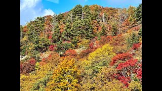 JG8K 山形 天元台の秋 YamagataTengendai in Autumn [upl. by Aplihs]