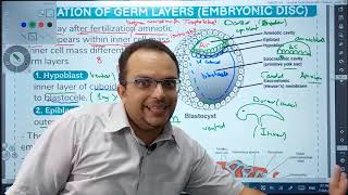 2nd week  Bilaminar Embryonic Disc [upl. by Harshman616]