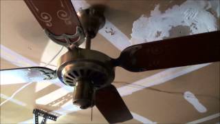 Ceiling Fans in my House Updated [upl. by Kamerman]