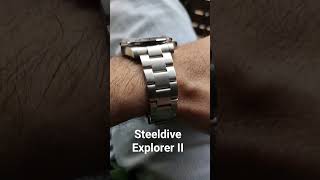 STEELDIVE SD1992 GMT [upl. by Nnahaid]