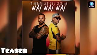 Triantafillos X Dj Stephan  NAI NAI NAI  Teaser 2024 [upl. by Capwell]