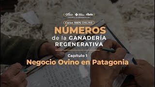 Negocio ovino en Patagonia  Cap 1 [upl. by Agnesse]