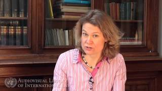 Larissa van den Herik on International Criminal Law and Domestic Courts [upl. by Roselyn]