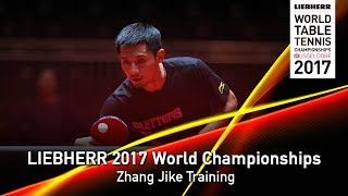 2017 World Championships  Zhang Jike Training [upl. by Sowell318]