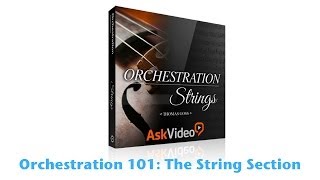 Orchestration 101 Course Release amp Party [upl. by Assirrak]