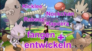 Rabauz Kicklee Nockchan und Kapoera fangen  entwickeln  Pokemon Schwert und Schild [upl. by Enela388]