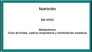 Ciclo de Krebs cadena respiratoria y formación de ATP [upl. by Notnef]