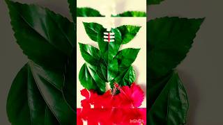 Make Ganpati from 🌿🌿 leaf art ganesh ganpatibappamorya craft shorts [upl. by Haimrej]