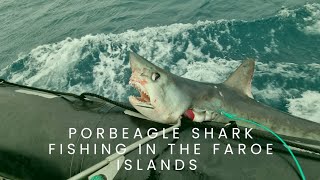 porbeagle shark fishing in the Faroe island [upl. by Yenahpets]