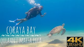 Egipt  Marsa Alam  Coraya Bay  Qulaan  Marsa Egla  4K  snurkowanie i nurkowanie  Snorkeling [upl. by Painter226]